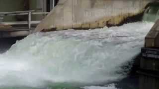 Fishtown Salmon Run- Leland