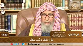 1429 - بقرة تتكلم وذئب يتكلم - الشيخ صالح الفوزان image