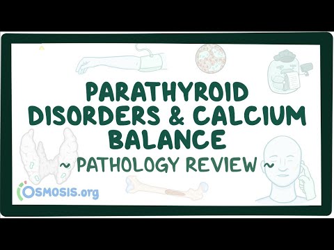 Parathyroid disorders and calcium balance: Pathology Review