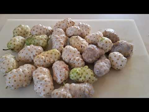 I'm going to try NONI Fruit Juice for the 1st time.  (2)