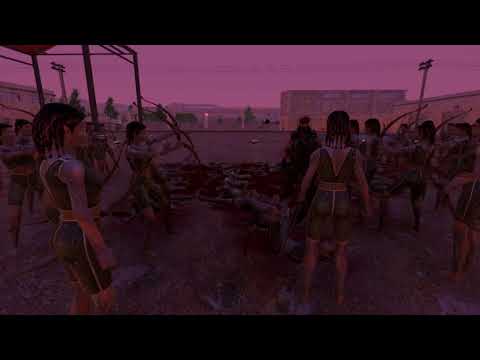 Chuck Norris vs. 101 Elven Huntress'