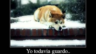 Jose Feliciano - Me has echado al olvido (Nicolas Malley)