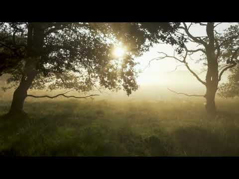 1 Hour Meditation | Sudha and Maneesh de Moor | Sacred Chants of Devotion | Meditation Music