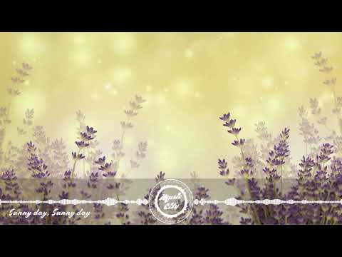 DASLOE FEAT. ADELYN PAIK - Sunny day, Sunny day