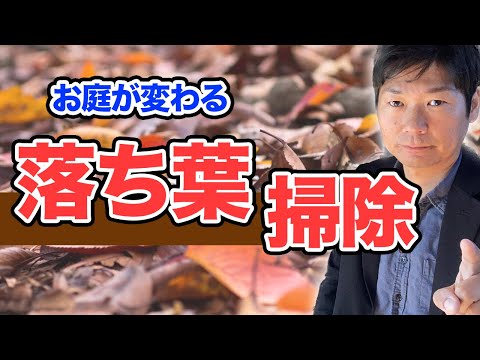 どの枯れ葉を再利用すべきではないのか 庭での枯れ葉の使い方 腐葉土を分解する堆肥ゲル