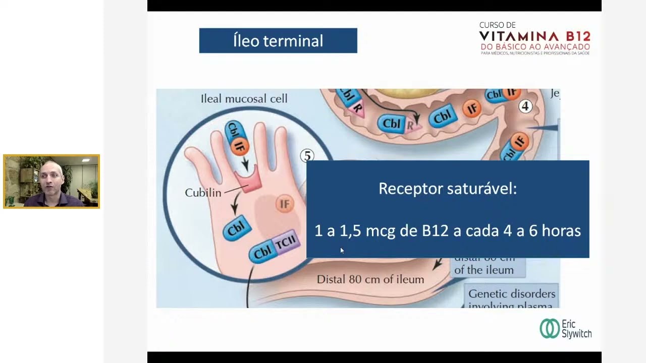 AULA ESPECIAL VITAMINA B12