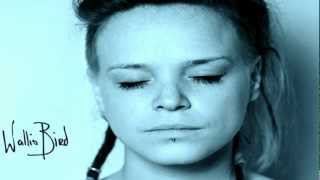 Wallis Bird - Dress My Skin and Become What I'm Supposed To (HD)