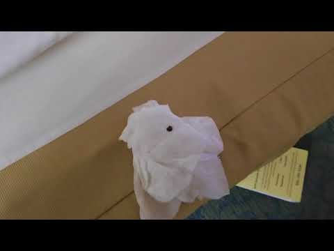 I will Never Stay at the Best Western Robert Treat Hotel (Newark) Again - Beware of Bed Bugs