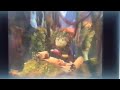 Groundling Marsh Theme With Barney In Concert