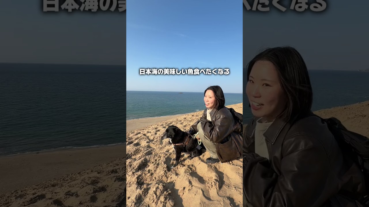 【鳥取県・大爆笑スポット】日本には「大後悔」と「大爆笑」が同時に襲ってくるスポットがあるらしい…？🏜️🐪#鳥取旅行