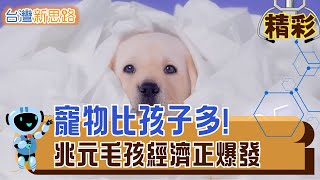 養毛孩成全民運動，誰能搶下這塊甜蜜市場?  情感變商機，毛孩熱潮背後藏著信任危機│主播 苑曉琬│【台灣新思路】20251108│三立iNEWS