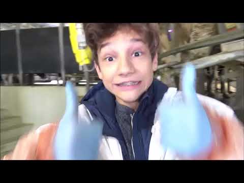 Egy nap a munkahelyemen - Bosh Frucht. Micsoda kaland volt!