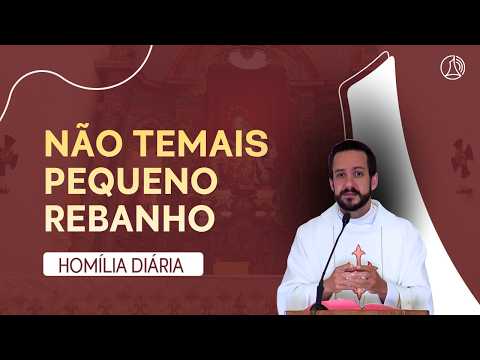 Não temais pequeno rebanho - João 10,11-18 | Homilia Diária