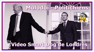 Molodoi - Politichiens