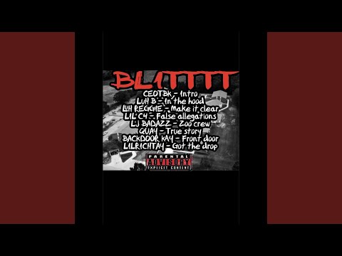 False allegation (feat. Lil C4)