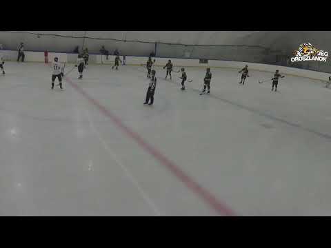 U16380 Jégoroszlánok B - DHK 20240316