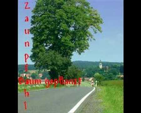 Zaunpfahl - Baum gepflanzt