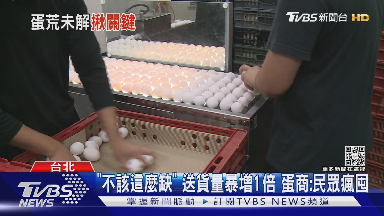雞農曝「禽流感」釀缺蛋 彰化因疫斷北上蛋源