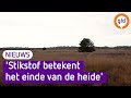 'Stikstof is slecht voor de natuur'