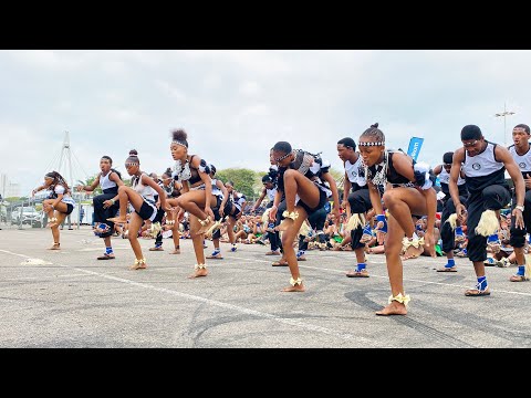 Mgijimi Abanini bengoma | Umbuso Wamaciko | zithelwe ngezibonkolo | Ithwala umboko wayo indlovu