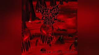 Defeated Sanity - Drifting Further (2004)