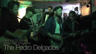 The Pedro Delgados - Sink To The Bottom