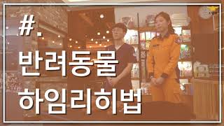 소방청 반려동물  응급처치영상