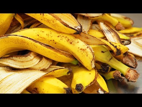 , title : 'Tu ne Jetteras Plus Les Peaux de Banane Après Avoir vu Cette Vidéo'