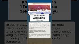 Izin Pengusaha Dicabut, Kapolri Sudah Tetapkan 1 Tersangka Kasus Gelondongan Kayu di Sumatera