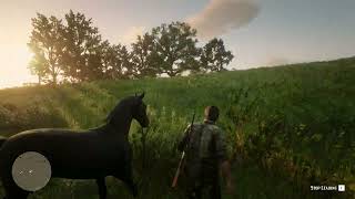 Joel Mod Rdr2 Stealing A Horse With John - RDR2 Joel Miller Playthrought at Red Dead ...