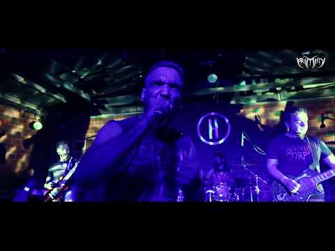 PRIMITIV- Squishy and Spongy | Official Live Music Video