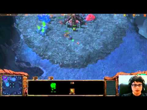 vileSpanishiwa [FPVOD w/C] vs ????? [ZvZ Nerazim Crypt 1v1]