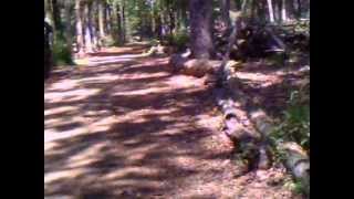 Freefall - t.v. series firefly base roleplay airsoft game