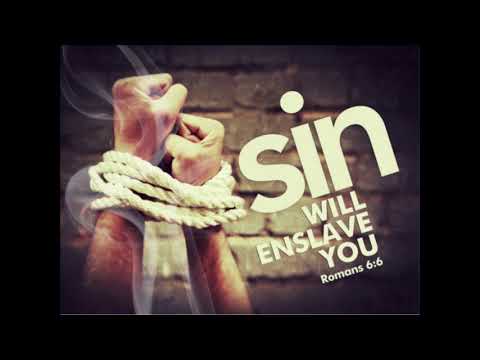 Descatusat - Bob Phillips