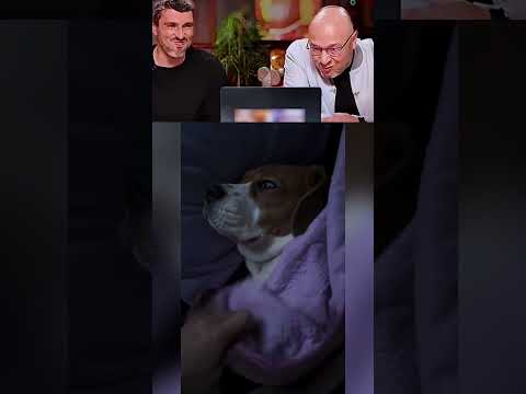 ЛУЧШИЙ ПРИКОЛ с псинкой 🤣 👍🏻