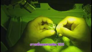 บริษัท มานิต แอนด์ ทูล จำกัด : เครื่องเชื่อมเลเซอร์งานจิวเวลรี่ (Laser Welding 200W Machine) บริษัท มานิต แอนด์ ทูล จำกัด : เครื่องเชื่อมเลเซอร์งานจิวเวลรี่ (Laser Welding 200W Machine)