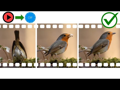 How to Create a PowerPoint Presentation Beginner s Tutorial 2021