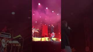 Bazart // Lux // Crammerock