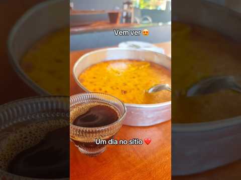 Vem ver um dia no sítio, ivaiporã PR #sitio #roça #natureza #sertão #comidaboa #ferias #paraná