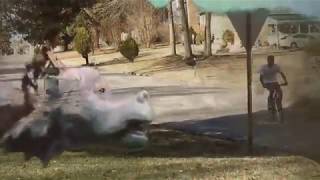 Lord Linco! - Lavender (Music Video)