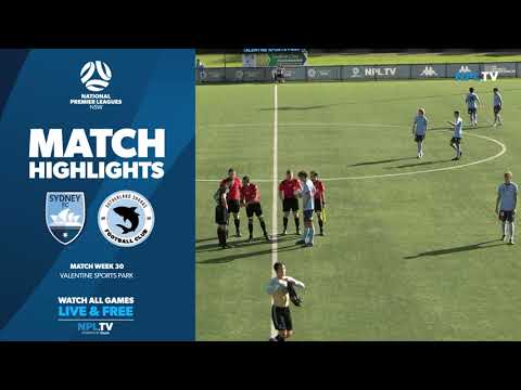 NPL NSW Men's Round 30 – Sydney FC v Sutherland Sharks