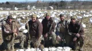 preview picture of video '2010 Snow Goose Mayhem'