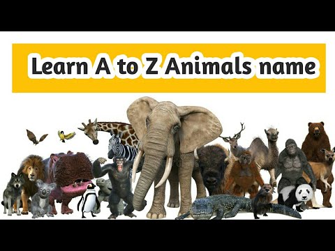 Learn A to Z animals name for kids with picture || #atozanimalsname