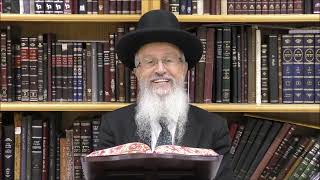 הגאון הרב אברהם יוסף שליט"א מתי יהיה ניתן להכין מיום טוב ראשון ליום טוב שני (הרב אברהם יוסף) - התמונה מוצגת ישירות מתוך אתר האינטרנט יוטיוב. זכויות היוצרים בתמונה שייכות ליוצרה. קישור קרדיט למקור התוכן נמצא בתוך דף הסרטון