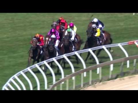 2010 CF Orr Stakes- Typhoon Tracy