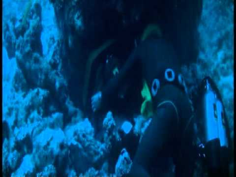 Tentacoli (Tentacles) Stelvio Cipriani??