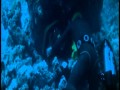 Tentacoli (Tentacles) Stelvio Cipriani??