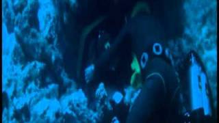 Tentacoli (Tentacles) Stelvio Cipriani??