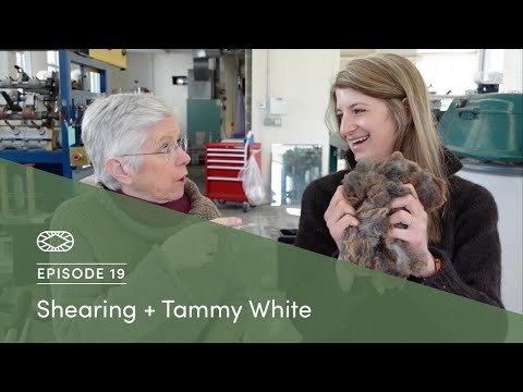 Millcast Episode 19: Shearing + Tammy White