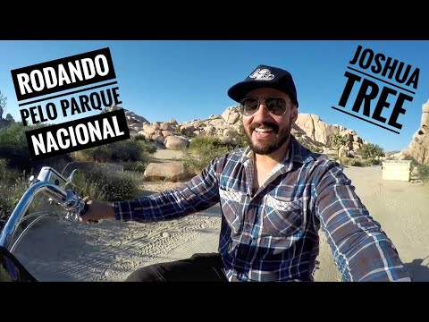 MEUSA 02 (California): Joshua Tree National Park I